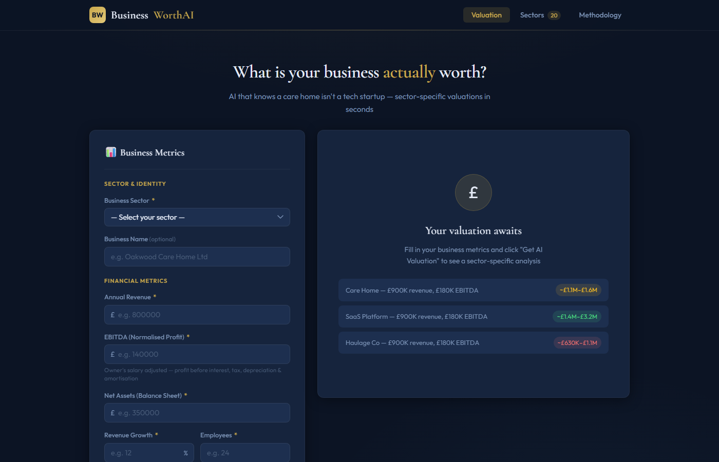 BusinessWorthAI screenshot